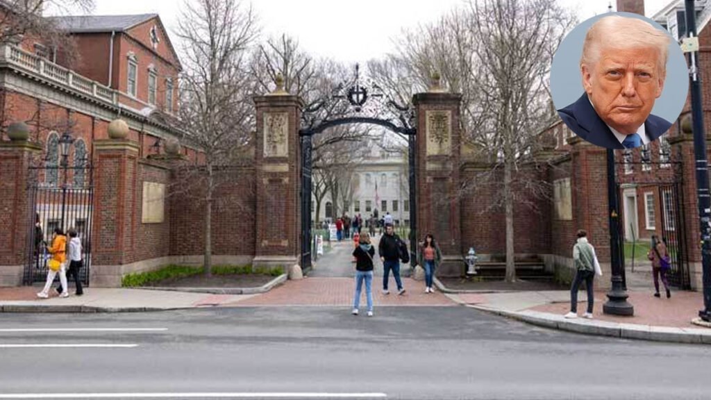 Harvard University 20250523101659