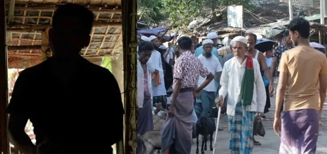 Rohingga original 1751023164