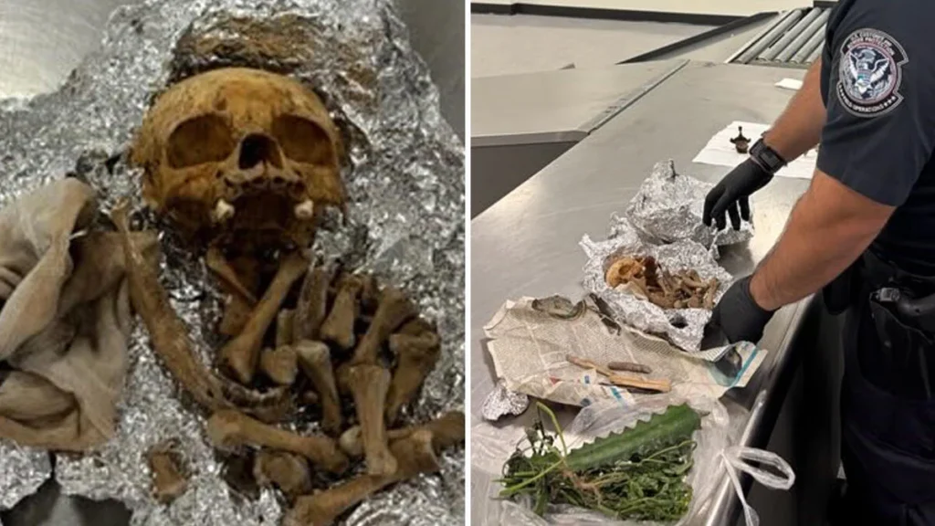 cbsmiami tampa airport human remains main 1