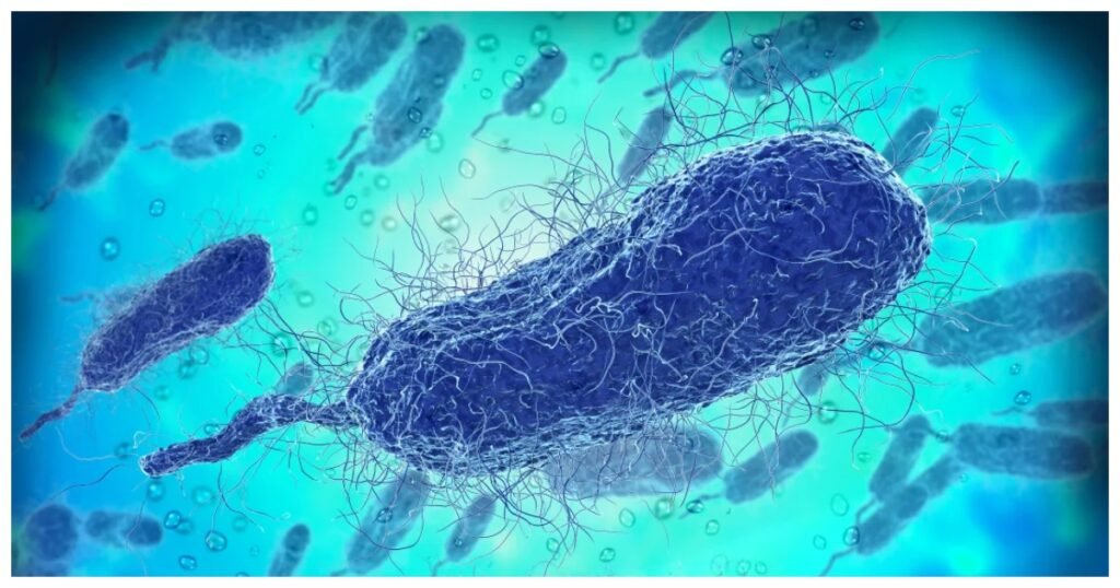 tbn24 20250920100810 4073 germany 67