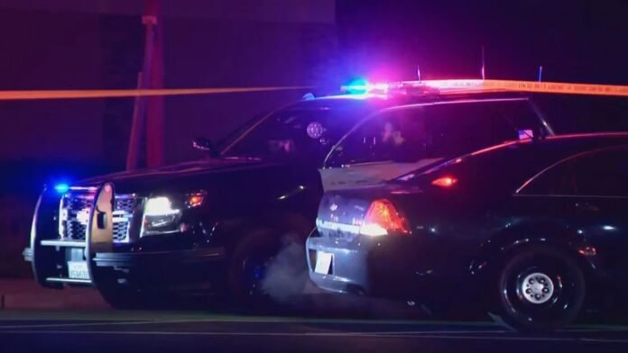 callifornia-692be0b9994f8