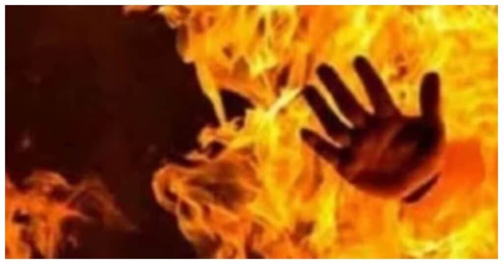 tbn24 20251207233032 1908 tbn24 20251027175617 1210 tbn24 20250902113801 3948 befunky collage 2025 09 02t173452.228